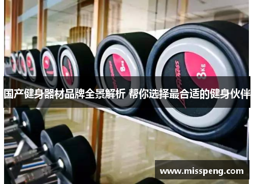 国产健身器材品牌全景解析 帮你选择最合适的健身伙伴