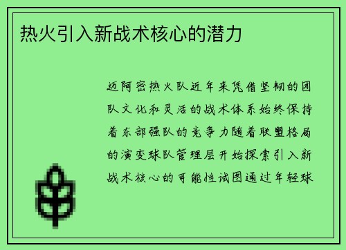 热火引入新战术核心的潜力